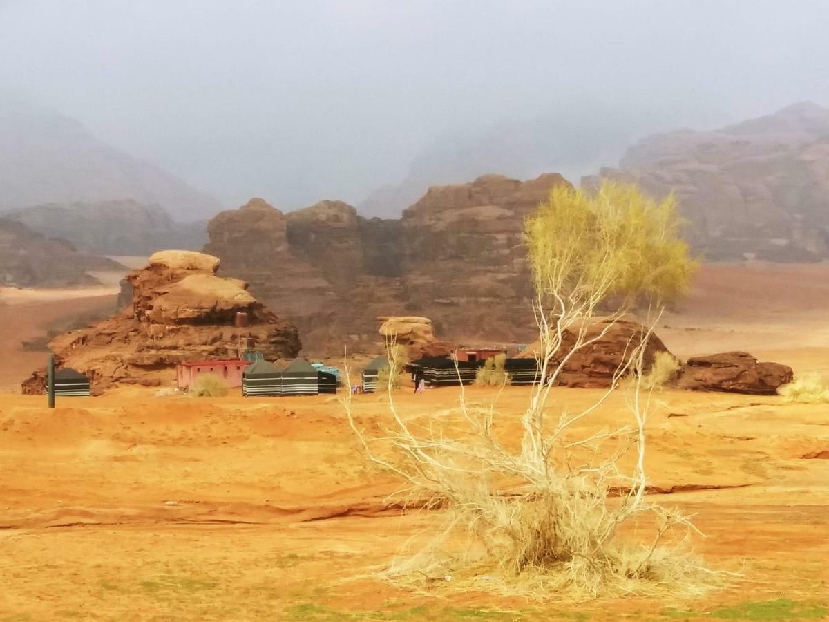 Bedouin Culture Camp וואדי רם מראה חיצוני תמונה